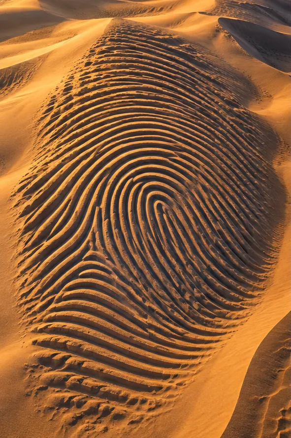 A huge golden dune at sunset is rippled into the swirling ridges of a fingerprint. Someone touched the desert, and the desert remembers.