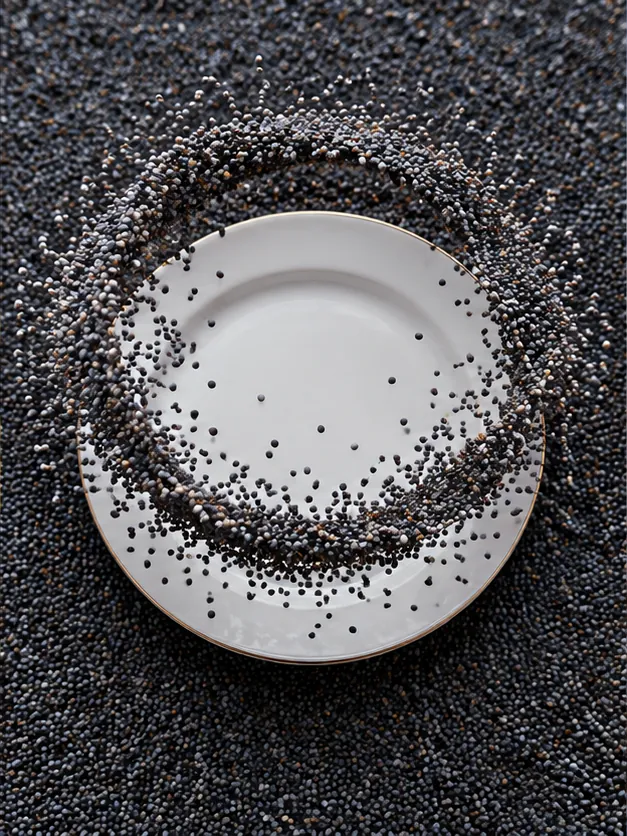 A white plate sits on a bed of dark poppy seeds, a ring of seeds circling its rim while the middle stays perfectly clean.